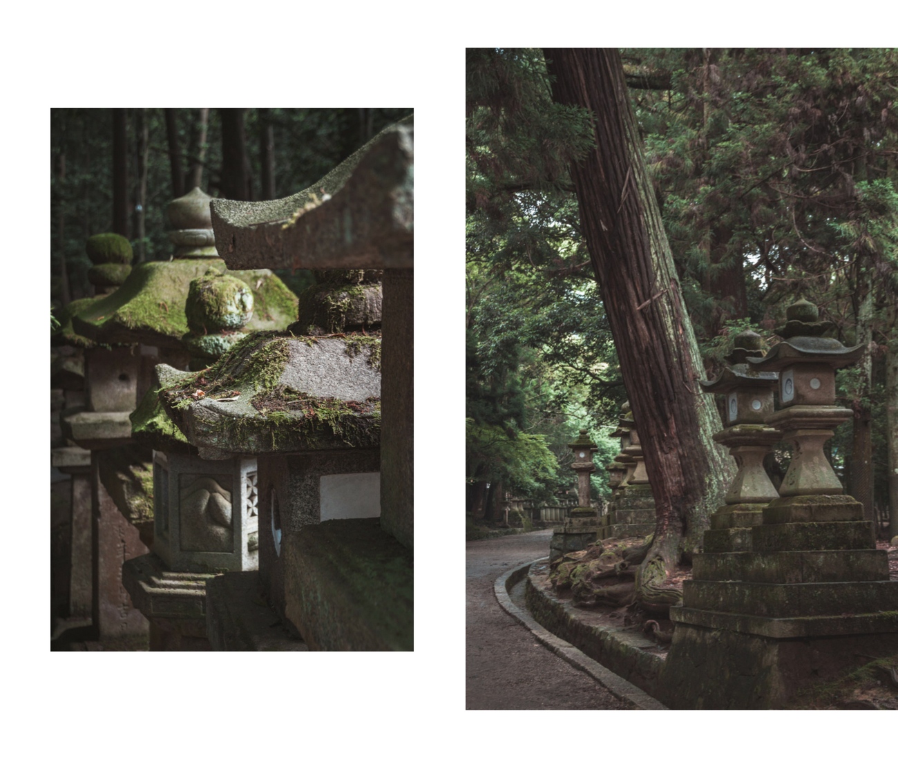 Japonia, świątynia w Narze