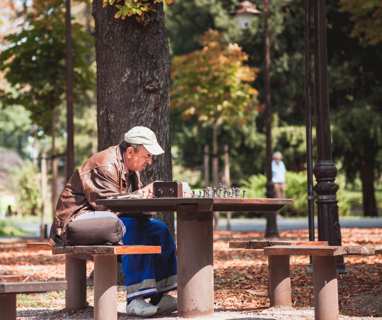 Belgrad Kalemegdan szachista w parku