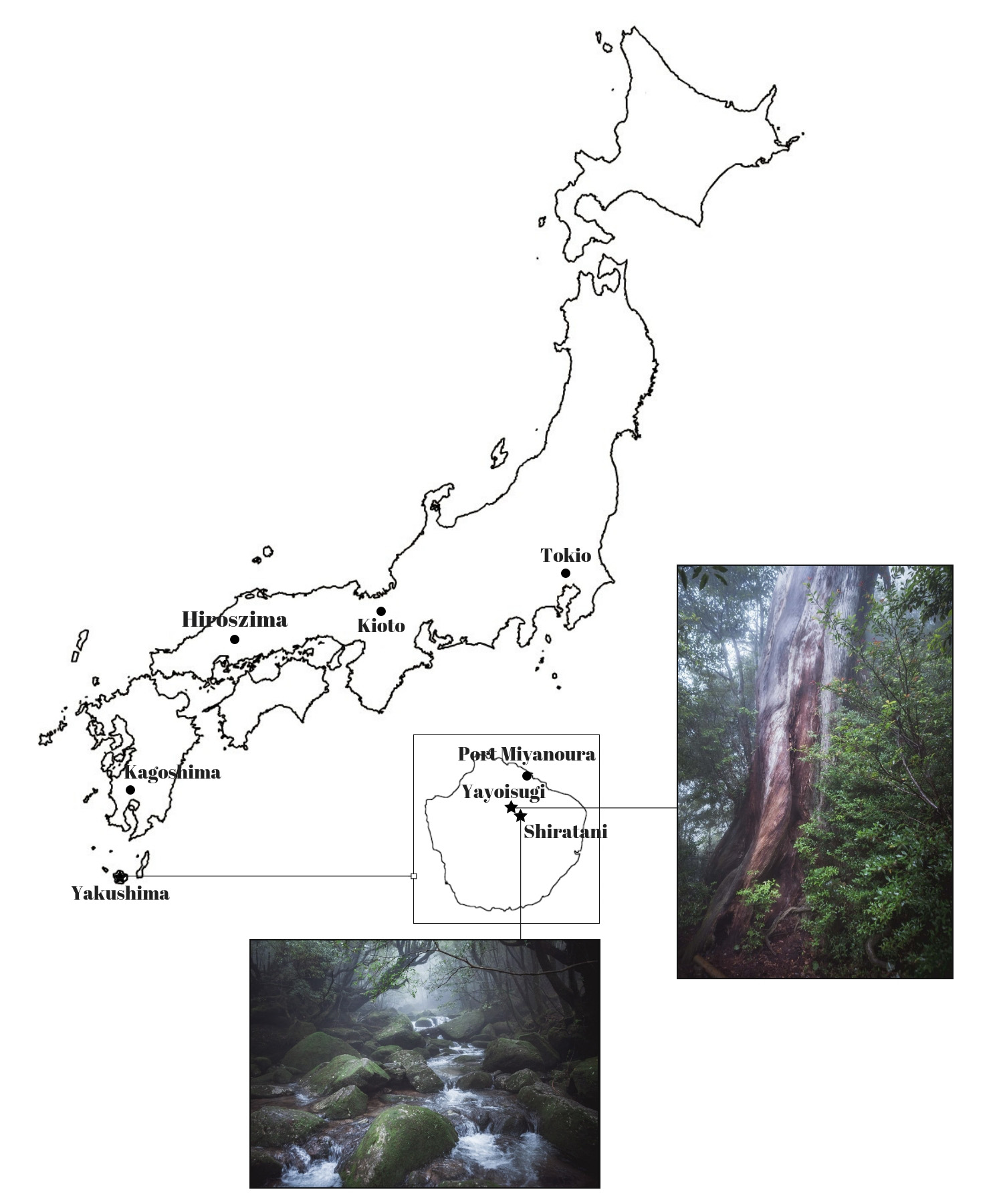 mapa yakushima