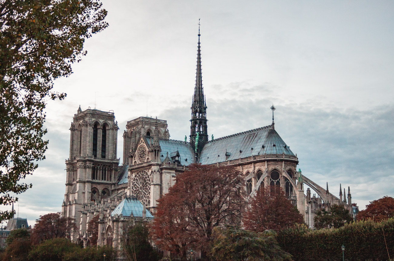Francja Paryż Katedra Notre-Dame