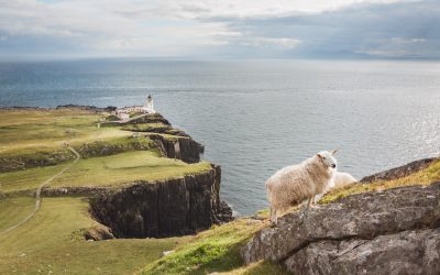 CO ZWIEDZIĆ NA ISLE OF SKYE