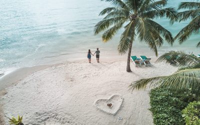 ODKRYWAJĄC BORNEO