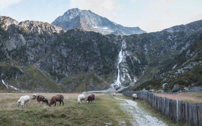 CO ZROBIĆ LATEM W DOLINIE STUBAI?